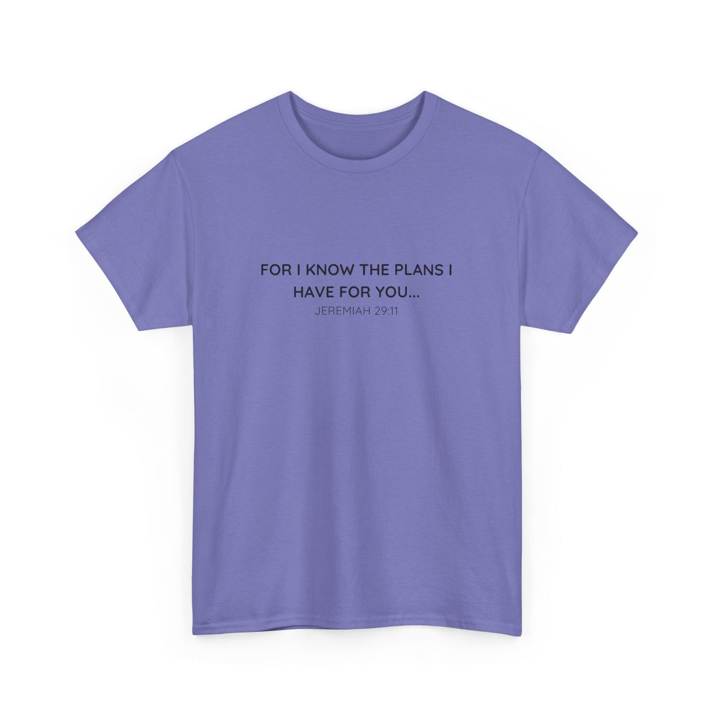 For I Know the Plans Tee