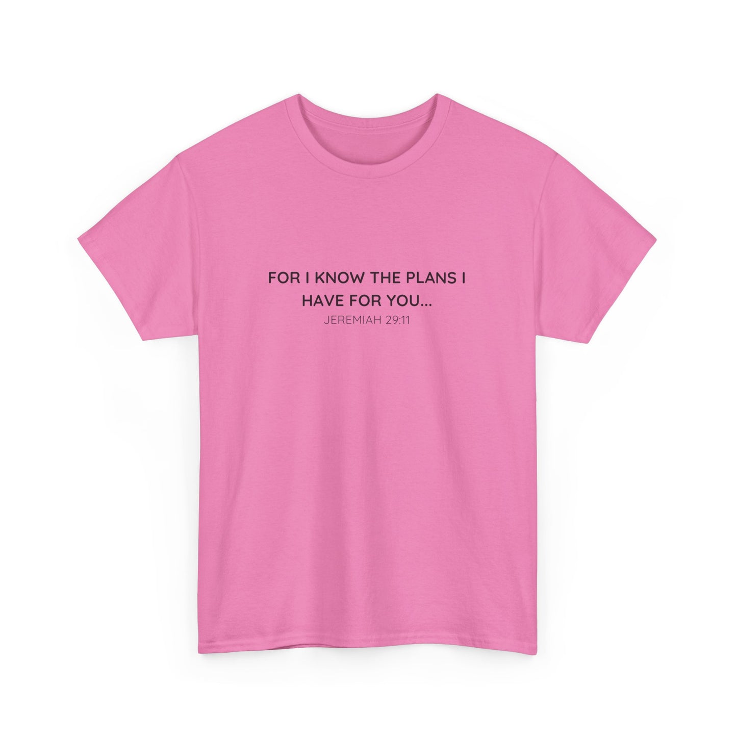 For I Know the Plans Tee