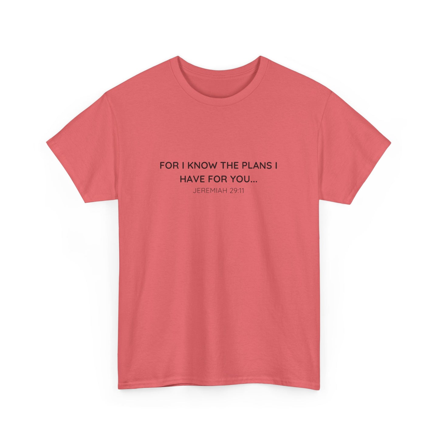 For I Know the Plans Tee