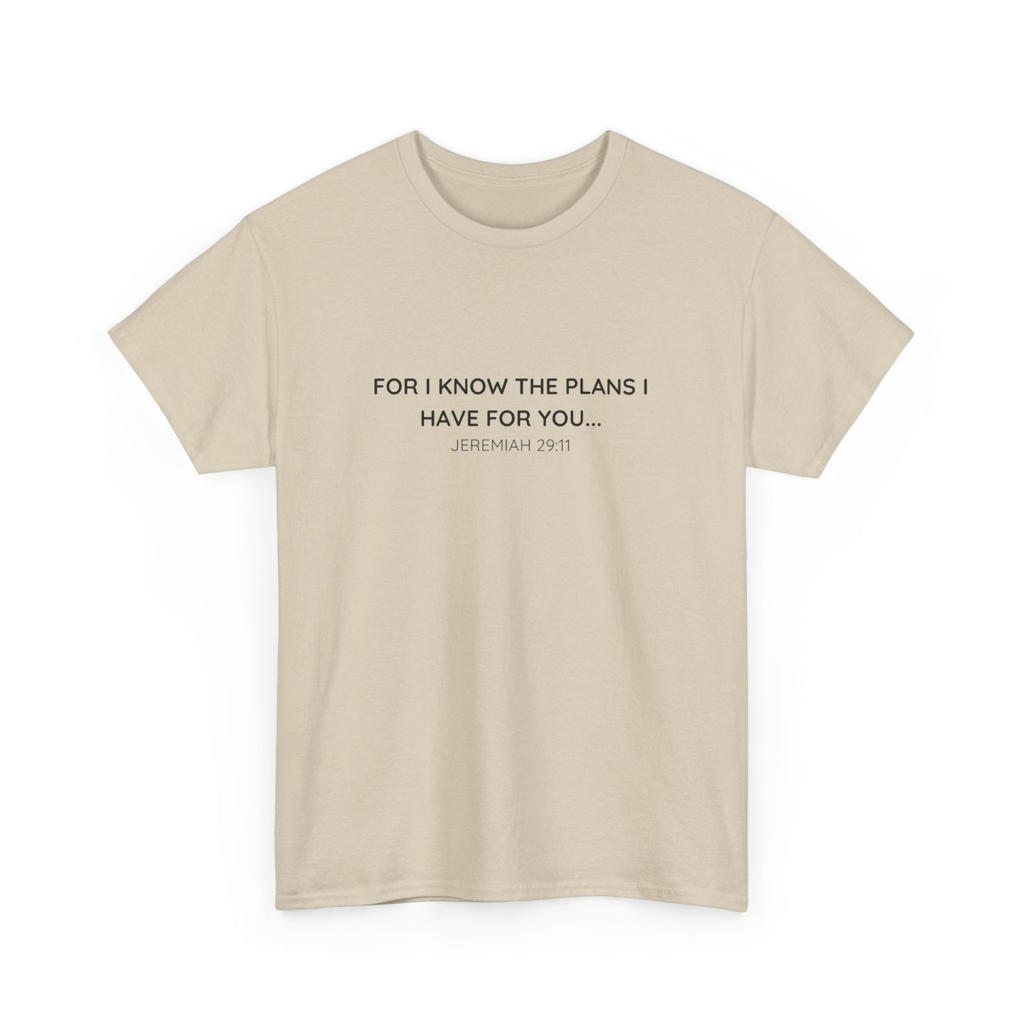 For I Know the Plans Tee