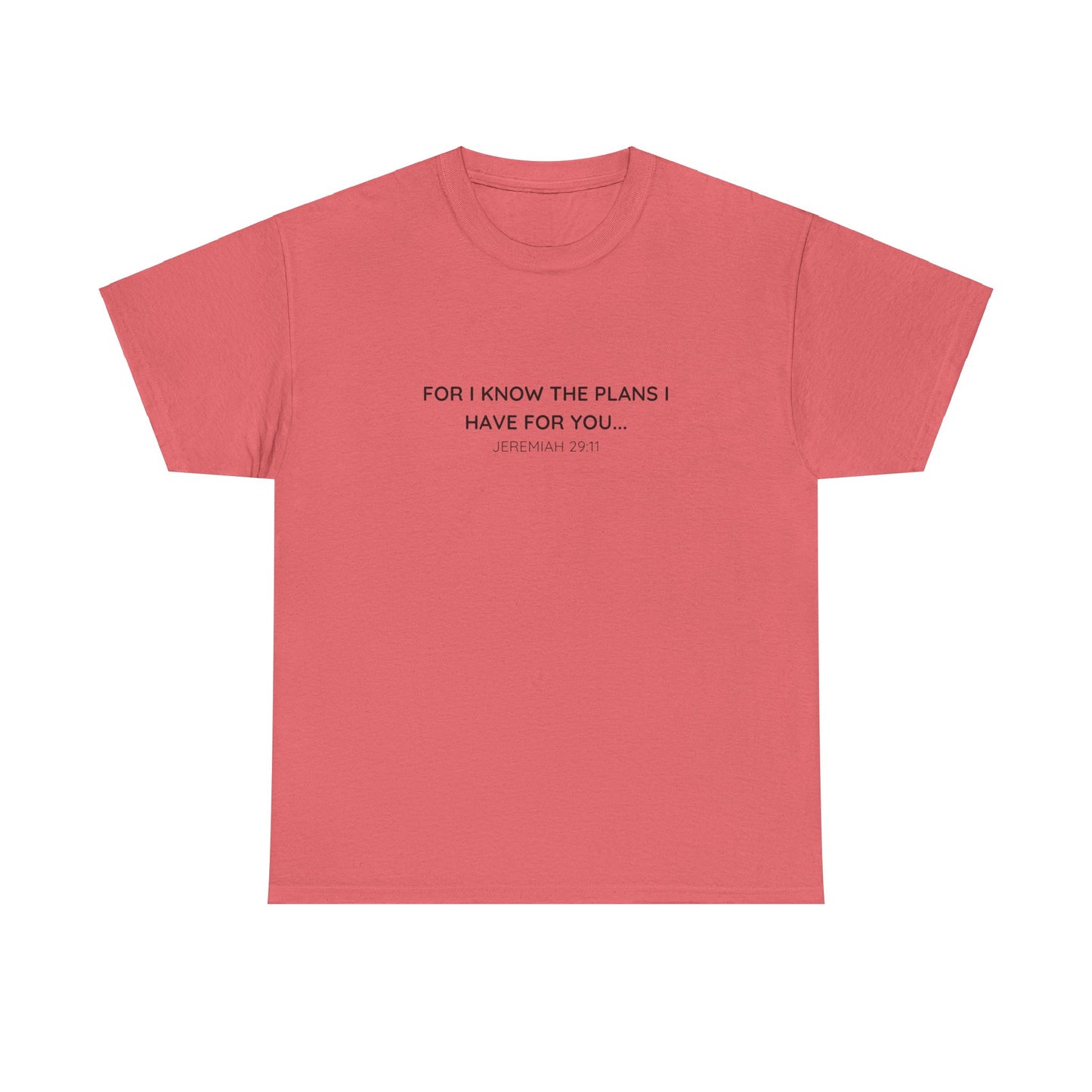 For I Know the Plans Tee